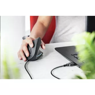 TRUST Myš Verto ergonomic mouse USB, black (černá) TRUST Myš Verto ergonomic mouse USB, black (černá)