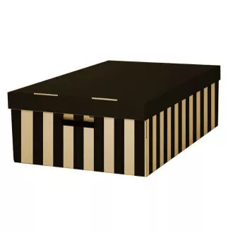 Archivační krabice s víkem 56x37x18cm černá nosnost 10kg 2ks