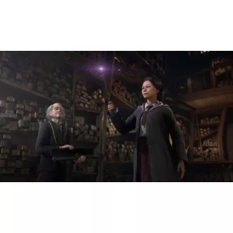 PS5 hra Hogwarts Legacy PS5 hra Hogwarts Legacy