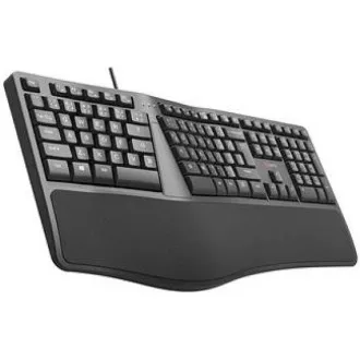 C-TECH Klávesnice KB-113E USB, ERGO, černá, CZ/SK C-TECH Klávesnice KB-113E USB, ERGO, černá, CZ/SK