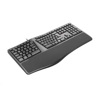 C-TECH Klávesnice KB-113E USB, ERGO, černá, CZ/SK C-TECH Klávesnice KB-113E USB, ERGO, černá, CZ/SK