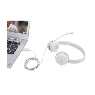 LENOVO 110 Stereo USB Headset LENOVO 110 Stereo USB Headset
