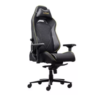 TRUST herní židle GXT 721 RUYA Pro Premium, černá TRUST herní židle GXT 721 RUYA Pro Premium, černá
