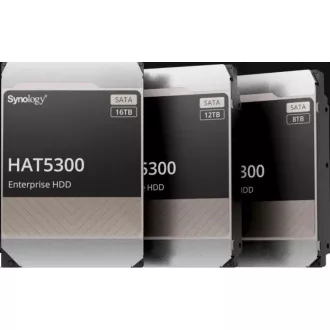Synology 3, 5" HDD HAT5300-12T Enterprise (NAS) (12TB, SATA III, 7200 RPM, 256MB) Synology 3, 5" HDD HAT5300-12T Enterprise (NAS) (12TB, SATA III, 7200 RPM, 256MB)