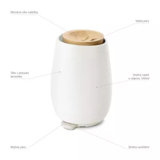 TrueLife AIR Diffuser D8 - Aroma difuzér TrueLife AIR Diffuser D8 - Aroma difuzér
