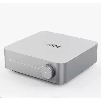 WiiM Amp Silver WiiM Amp Silver