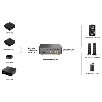 WiiM Vibelink Amp - Silver WiiM Vibelink Amp - Silver