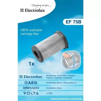 EF75B CYKLÓN.FILTR(900195949) ELECTROLUX