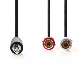 Nedis CAGB22250BK02 - Stereofonní Audio Kabel | 3,5mm Zástrčka - 2x RCA Zásuvka | 0,2 m | Černá barva Nedis CAGB22250BK02 - Stereofonní Audio Kabel | 3,5mm Zástrčka - 2x RCA Zásuvka | 0,2 m | Černá barva