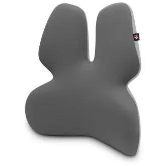 CONNECT IT FOR HEALTH GamaPro Anatomická bederní opěrka na židli, ŠEDÁ CONNECT IT FOR HEALTH GamaPro Anatomická bederní opěrka na židli, ŠEDÁ