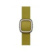 Watch Acc/42/Chartreuse Modern Buckle - Medium