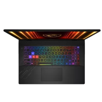 MSI Crosshair/17 HX AI D2XWGKG-039CZ/U9-275HX/17"/2560x1600/32GB/2TB/RTX 5070/W11H/Gray/2R MSI Crosshair/17 HX AI D2XWGKG-039CZ/U9-275HX/17"/2560x1600/32GB/2TB/RTX 5070/W11H/Gray/2R