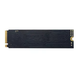 PATRIOT P300/256GB/SSD/M.2 NVMe/5R PATRIOT P300/256GB/SSD/M.2 NVMe/5R