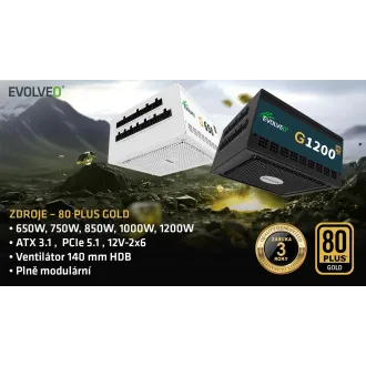 EVOLVEO G1000/1000W/ATX 3.0/80PLUS Gold/Modular EVOLVEO G1000/1000W/ATX 3.0/80PLUS Gold/Modular