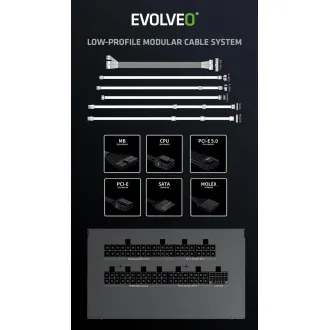 EVOLVEO G1000/1000W/ATX 3.0/80PLUS Gold/Modular EVOLVEO G1000/1000W/ATX 3.0/80PLUS Gold/Modular