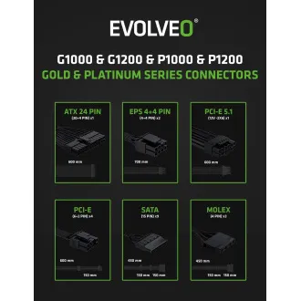 EVOLVEO G1000/1000W/ATX 3.0/80PLUS Gold/Modular EVOLVEO G1000/1000W/ATX 3.0/80PLUS Gold/Modular