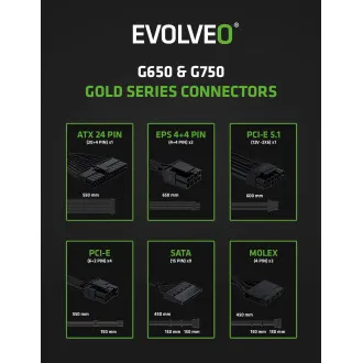 EVOLVEO G750,750W,ATX3.1,14cm,aPFC,80+GOLD,3YRW EVOLVEO G750,750W,ATX3.1,14cm,aPFC,80+GOLD,3YRW