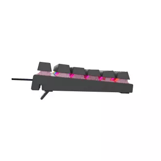 Genesis herní mechanická klávesnice THOR 303/TKL/RGB/Outemu Peach Silent/Drátová USB/US layout/Černá Genesis herní mechanická klávesnice THOR 303/TKL/RGB/Outemu Peach Silent/Drátová USB/US layout/Černá