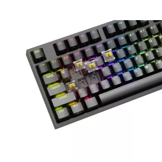 Genesis herní mechanická klávesnice THOR 404/RGB/Gateron Yellow Pro/Drátová USB/US layout/Černá Genesis herní mechanická klávesnice THOR 404/RGB/Gateron Yellow Pro/Drátová USB/US layout/Černá