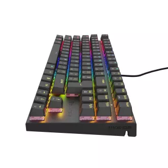 Genesis tichá herní klávesnice THOR 303/TKL/RGB/Outemu Peach/Drátová USB/CZ-SK layout/Černá Genesis tichá herní klávesnice THOR 303/TKL/RGB/Outemu Peach/Drátová USB/CZ-SK layout/Černá