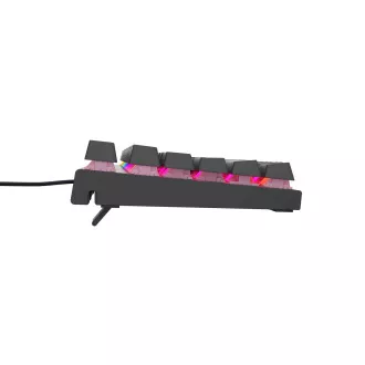 Genesis tichá herní klávesnice THOR 303/TKL/RGB/Outemu Peach/Drátová USB/CZ-SK layout/Černá Genesis tichá herní klávesnice THOR 303/TKL/RGB/Outemu Peach/Drátová USB/CZ-SK layout/Černá