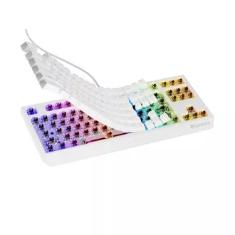 Genesis herní klávesnice THOR 230/TKL/RGB/Outemu Brown/Drátová USB/US layout/Bílá Genesis herní klávesnice THOR 230/TKL/RGB/Outemu Brown/Drátová USB/US layout/Bílá