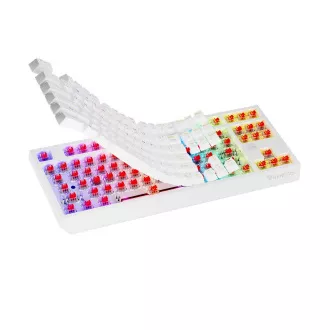 Genesis herní klávesnice THOR 230/TKL/RGB/Outemu Red/Drátová USB/US layout/Bílá Genesis herní klávesnice THOR 230/TKL/RGB/Outemu Red/Drátová USB/US layout/Bílá