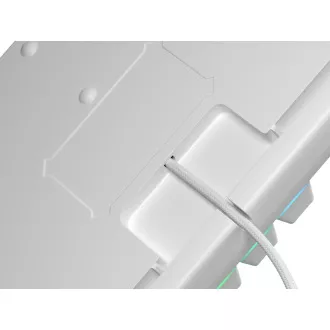 Genesis tichá herní klávesnice THOR 303/TKL/RGB/Outemu Peach Silent/Drátová USB/US layout/Bílá Genesis tichá herní klávesnice THOR 303/TKL/RGB/Outemu Peach Silent/Drátová USB/US layout/Bílá