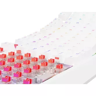 GENESIS herní klávesnice THOR 230/TKL/RGB/Outemu Red/Bezdrátová USB + Bluetooth/US layout/Bílá GENESIS herní klávesnice THOR 230/TKL/RGB/Outemu Red/Bezdrátová USB + Bluetooth/US layout/Bílá