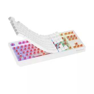 GENESIS herní klávesnice THOR 230/TKL/RGB/Outemu Red/Bezdrátová USB + Bluetooth/US layout/Bílá GENESIS herní klávesnice THOR 230/TKL/RGB/Outemu Red/Bezdrátová USB + Bluetooth/US layout/Bílá