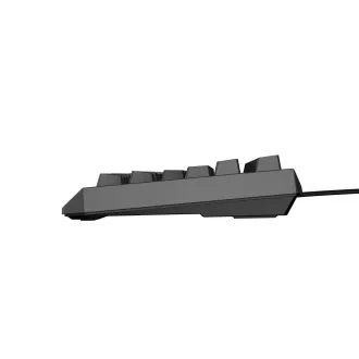 Herní klávesnice Genesis THOR 230/TKL/RGB/Outemu Red/Drátové USB-A/CZ-SK layout/Černá
