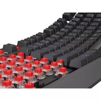 Herní klávesnice Genesis THOR 230/TKL/RGB/Outemu Red/Drátové USB-A/CZ-SK layout/Černá