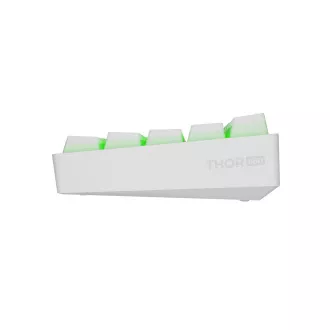 Genesis herní klávesnice THOR 660 G2/Gateron Brown/USB+BT/US layout/Bílá Genesis herní klávesnice THOR 660 G2/Gateron Brown/USB+BT/US layout/Bílá