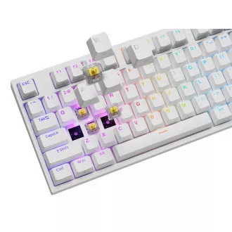Herní mechanická klávesnice Genesis THOR 404/RGB/Gateron Yellow Pro/Drátové USB-A/US layout/Bílá Herní mechanická klávesnice Genesis THOR 404/RGB/Gateron Yellow Pro/Drátové USB-A/US layout/Bílá