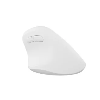 Bezdrátová myš Natec CRAKE 2/Kancelářská/Optická/2 400 DPI/USB+BT/Bílá/Vertikální/Optická/Pro pravák Bezdrátová myš Natec CRAKE 2/Kancelářská/Optická/2 400 DPI/USB+BT/Bílá/Vertikální/Optická/Pro pravák