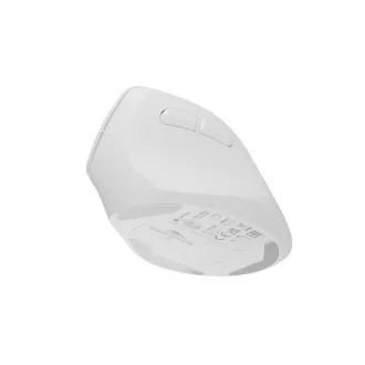 Bezdrátová myš Natec CRAKE 2/Kancelářská/Optická/2 400 DPI/USB+BT/Bílá/Vertikální/Optická/Pro pravák Bezdrátová myš Natec CRAKE 2/Kancelářská/Optická/2 400 DPI/USB+BT/Bílá/Vertikální/Optická/Pro pravák