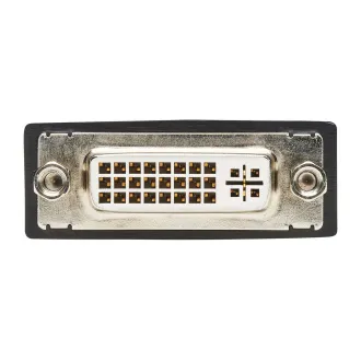 Video adaptér DisplayPort / DVI (Samec/Samice), 15.2cm Video adaptér DisplayPort / DVI (Samec/Samice), 15.2cm