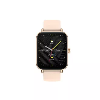 CARNEO Versa HR+/Rose Gold/Sport Band/Pink CARNEO Versa HR+/Rose Gold/Sport Band/Pink