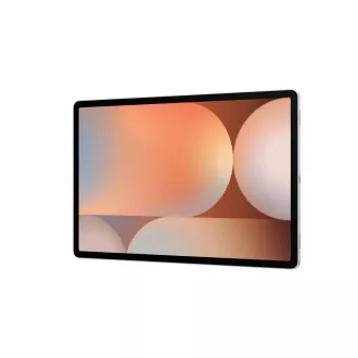 Samsung Galaxy Tab S10+/SM-X820/12,4"/2800x1752/12GB/256GB/An14/Platinum Silver Samsung Galaxy Tab S10+/SM-X820/12,4"/2800x1752/12GB/256GB/An14/Platinum Silver