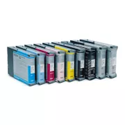 Epson T6021 (C13T602100) - cartridge, photoblack (fotočerná)