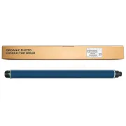 Ricoh D1979510 - optická jednotka