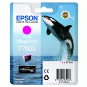 Epson T7603 (C13T76034N10) - cartridge, magenta (purpurová)
