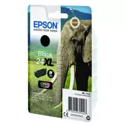 Epson T2431 (C13T24314012) - cartridge, black (černá)