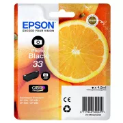 Epson T3341 (C13T33414010) - cartridge, black (černá)