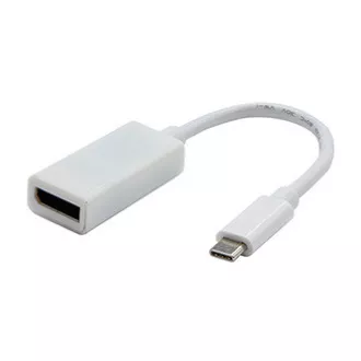 USB/Video převodník, DP Alt Mode, USB C samec - DisplayPort samice, bílý, 4K2K@30Hz 65507, DOPRODEJ USB/Video převodník, DP Alt Mode, USB C samec - DisplayPort samice, bílý, 4K2K@30Hz 65507, DOPRODEJ