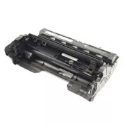 Ricoh M9060118 - optická jednotka, black (černá)