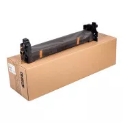 Ricoh D0392040 - optická jednotka, black (černá)
