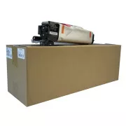 Ricoh D117-0121 - optická jednotka, black (černá)